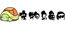 寵物烏龜網(wǎng) 寵物烏龜網(wǎng)